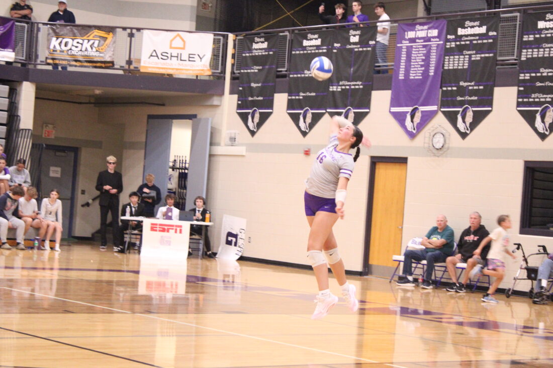 Mid Peninsula All-Conference volleyball teams released